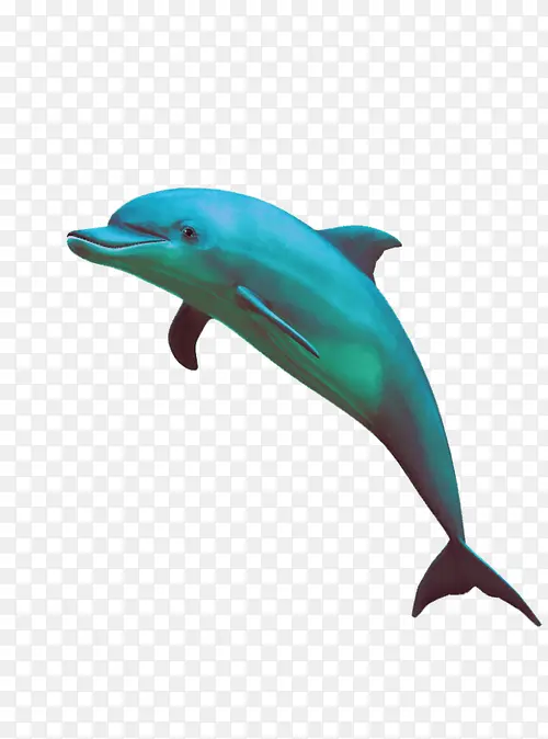 蒸汽波风格海豚模型