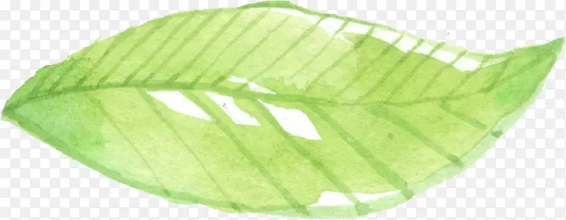 绿色水彩画草|树叶11