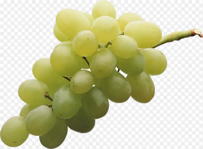 绿色新鲜葡萄