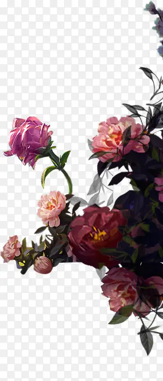 艳丽的彩色手绘牡丹花丛背景