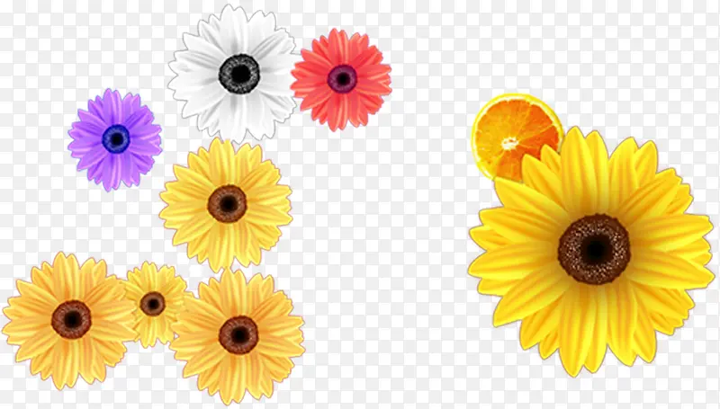 夏日花朵颜色插画设计