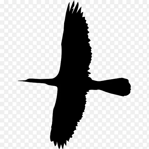 飞翔的大鸟形状图标