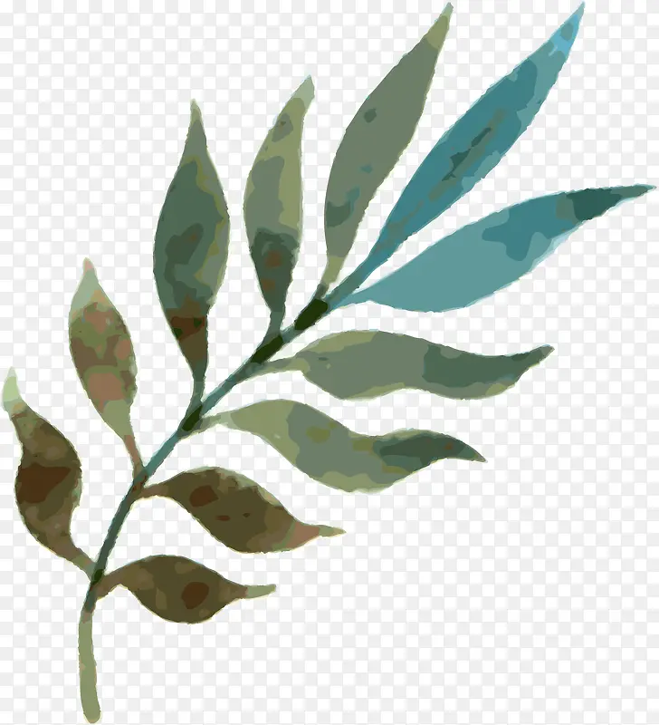 手绘树枝