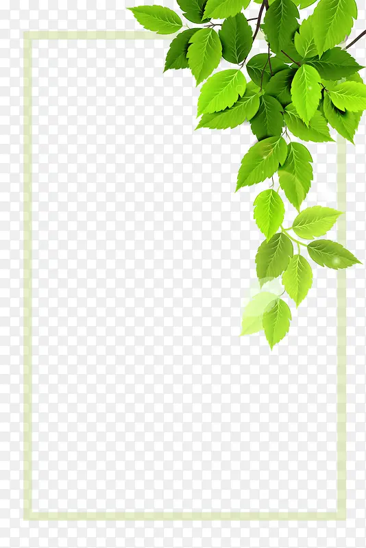 矢量绿色植物边框
