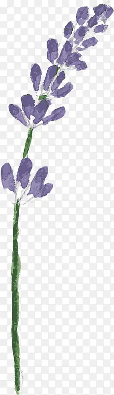 创意高清合成紫色的花卉紫罗兰水彩
