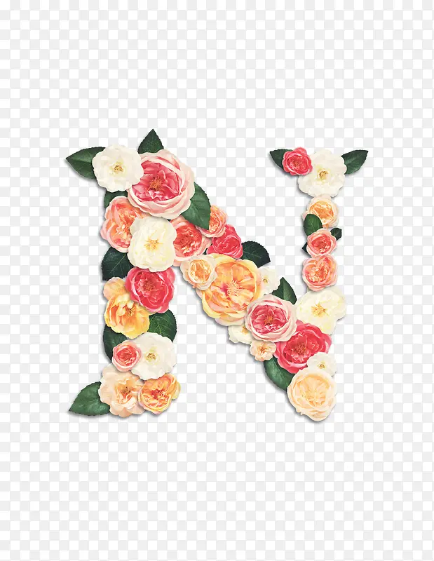 花卉字母N