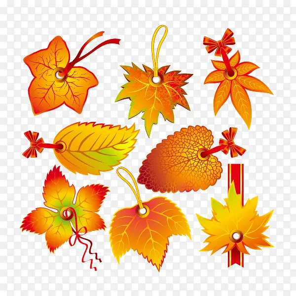 秋天 秋叶 装饰图案