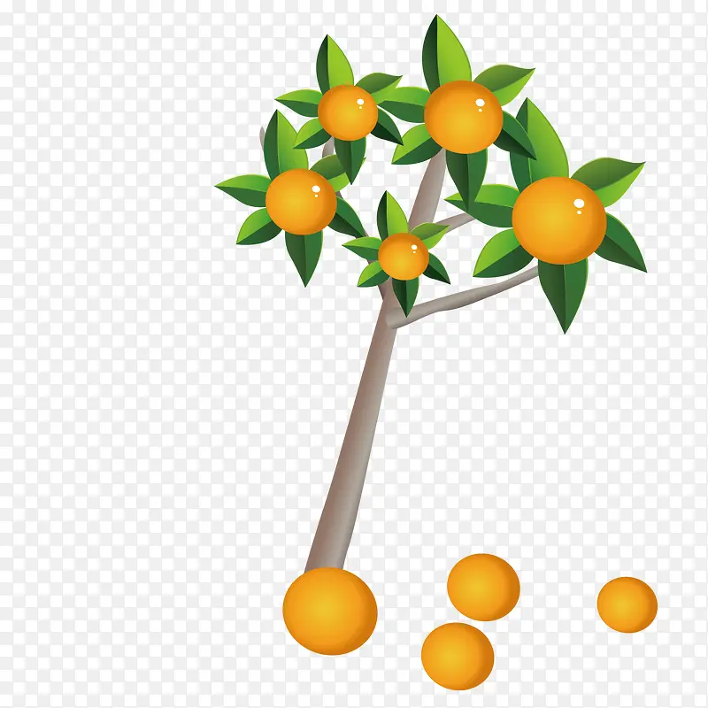 橘子树福橘