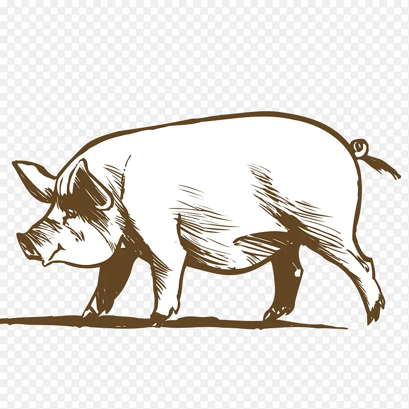 矢量猪PNG图片素材下载_图片编号9978663-PNG素材网