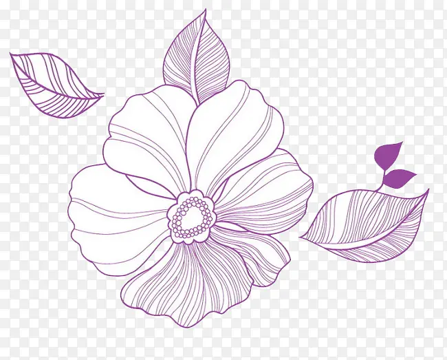 紫色小花简笔画