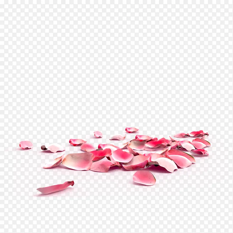 一地粉色玫瑰花瓣素材