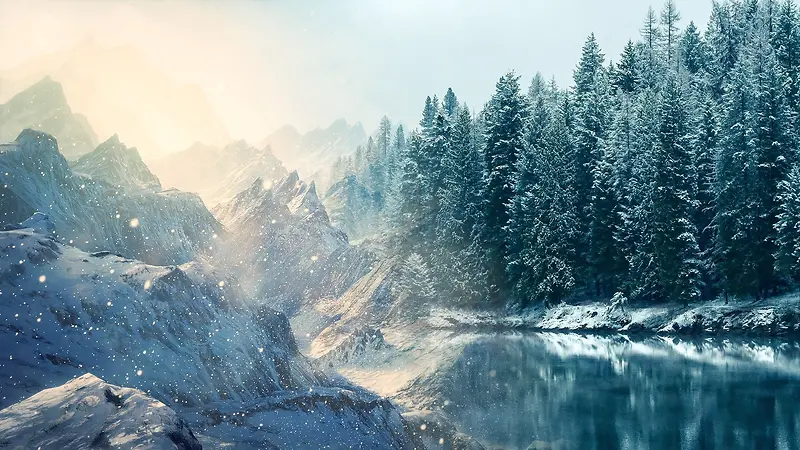 冬日雾凇森林美景