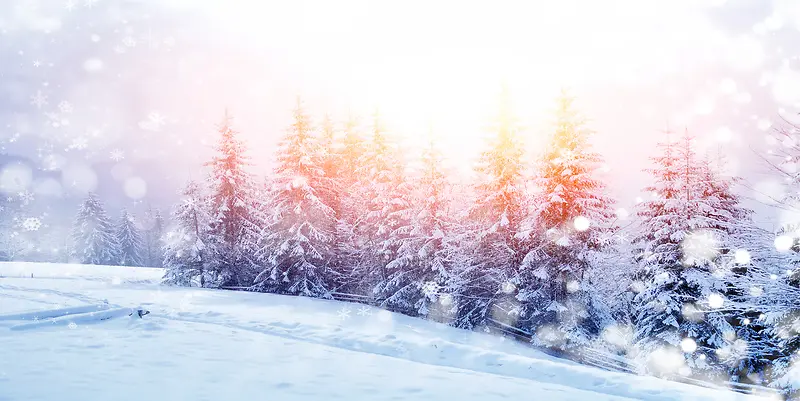 冬季雪花阳光风景