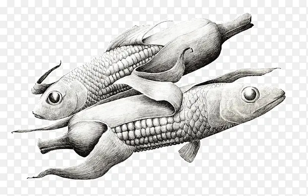玉米鱼素描插画