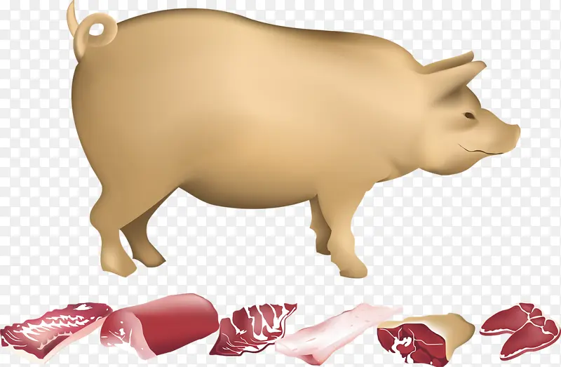 猪与猪肉