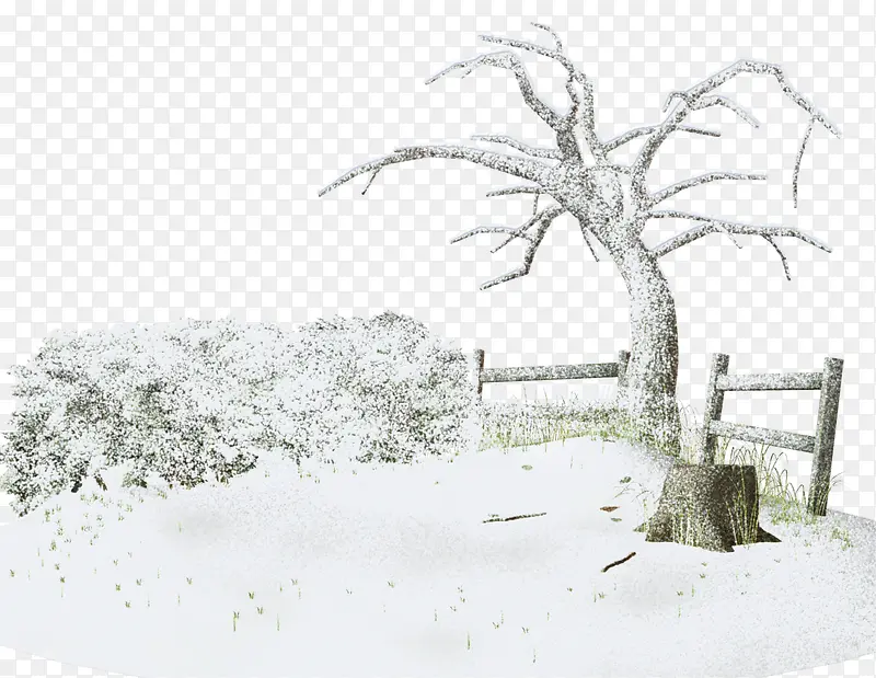 白雪树枝树桩