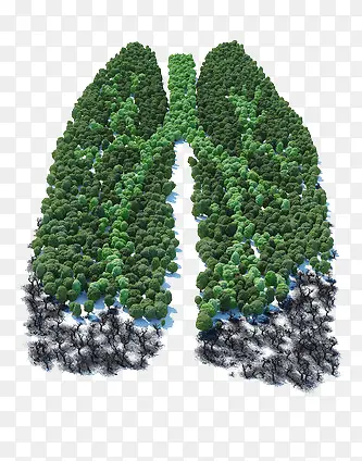 绿色植物组成的肺部