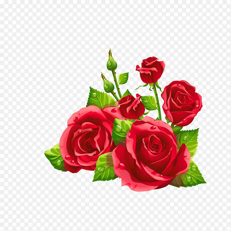 矢量手绘告白玫瑰鲜花