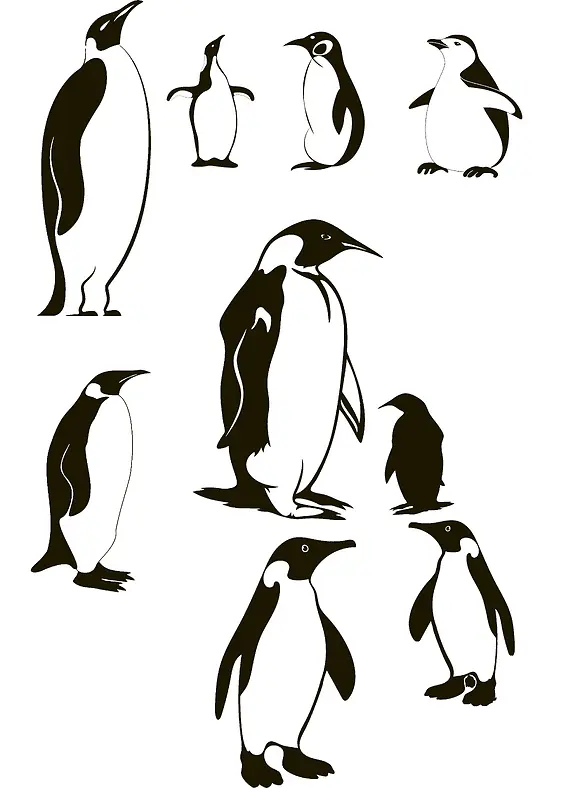 黑白企鹅设计元素
