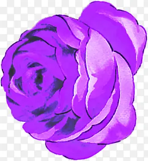紫色玫瑰婚庆展板