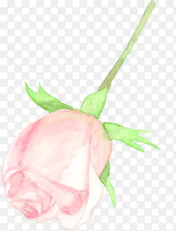 粉色玫瑰唯美婚庆展板