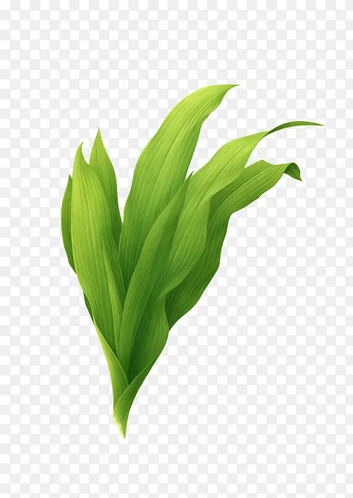 绿色植物清新首页PNG图片素材下载_图片编号10004567-PNG素材网