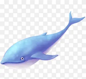 蓝色海报海底卡通海豚