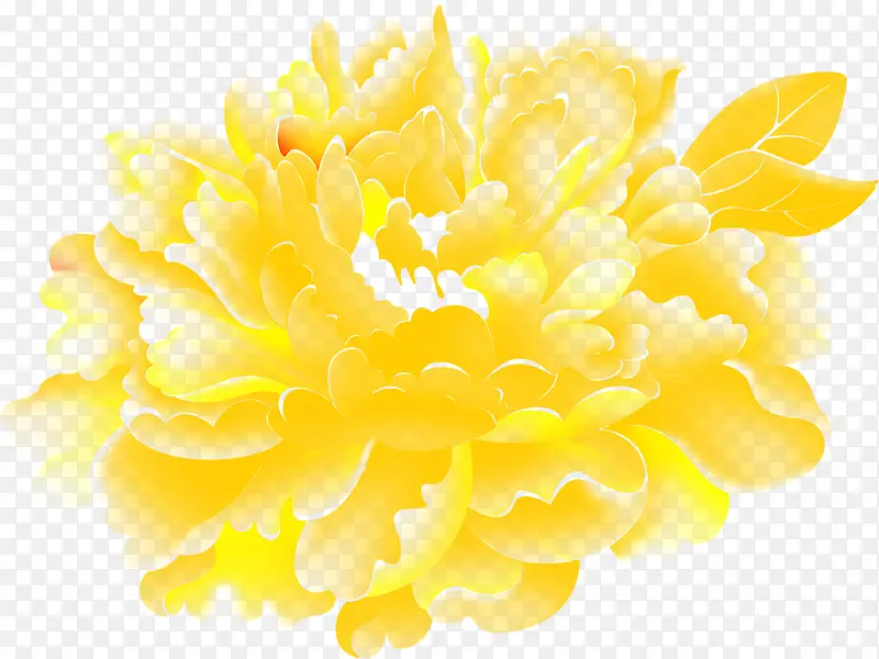 芬芳娇媚的黄色花朵