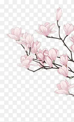 手绘合成粉红色的桃花树