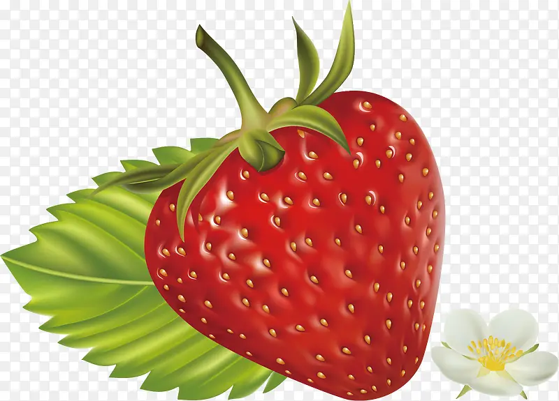 精美水果草莓