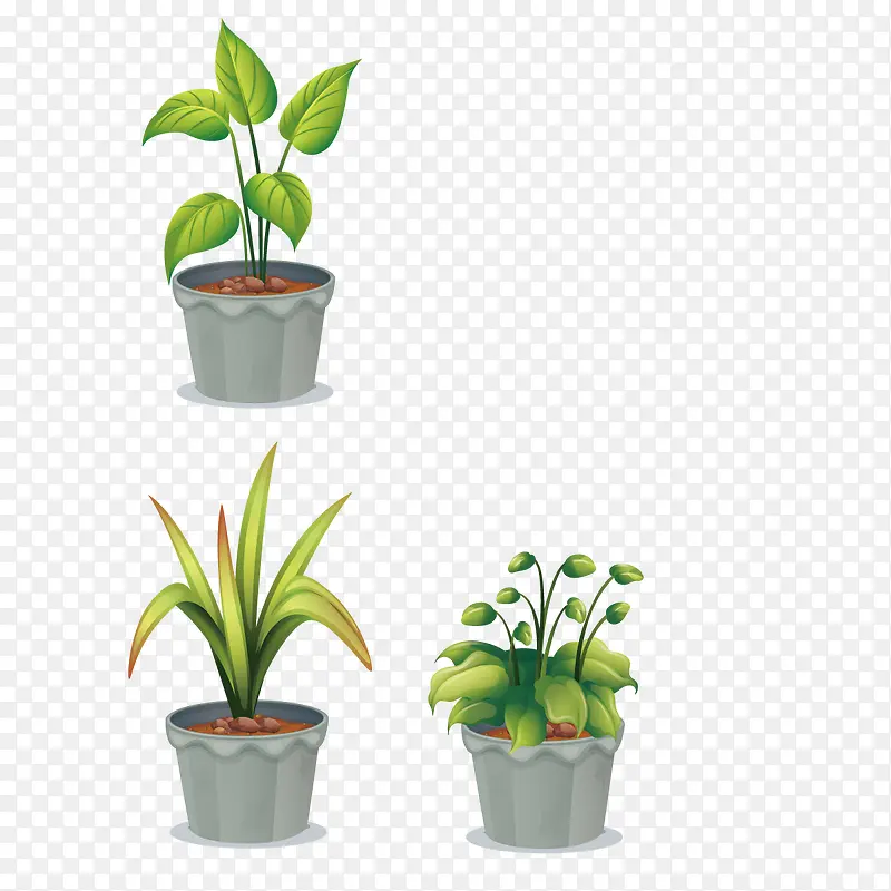 矢量室内植物PNG图片素材下载_图片编号10012353-PNG素材网