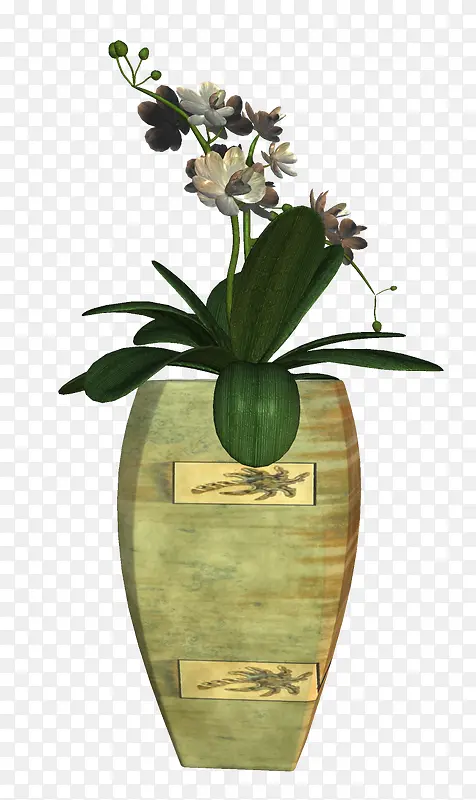 花盆