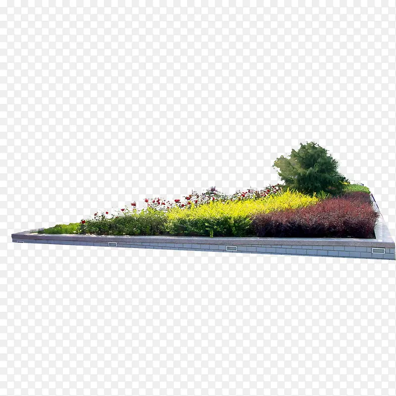 绿色植物PNG图片素材下载_图片编号10013359-PNG素材网