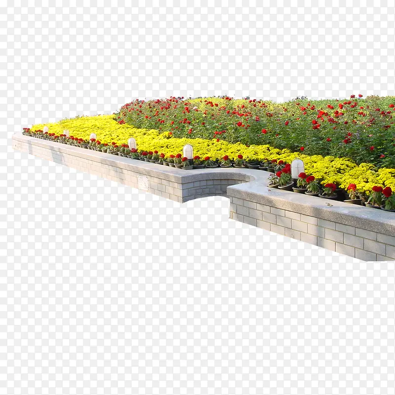 绿色植物PNG图片素材下载_图片编号10013379-PNG素材网