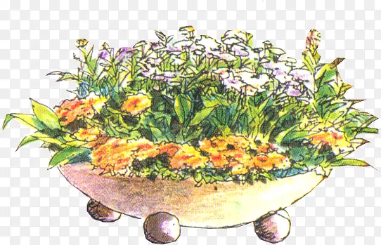 创意手绘水彩植物盆栽