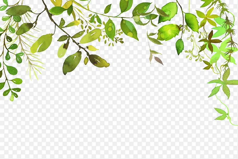 手绘绿色植物叶子装饰