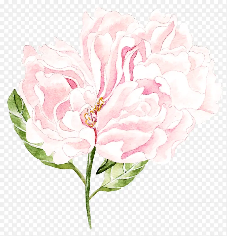 粉色手绘植物装饰