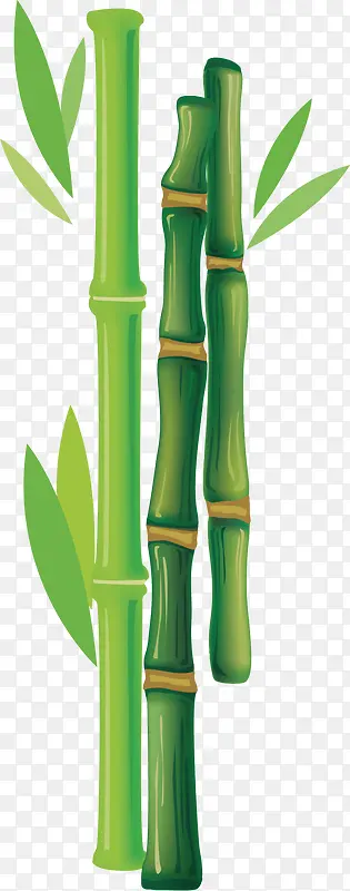 绿色竹子矢量图