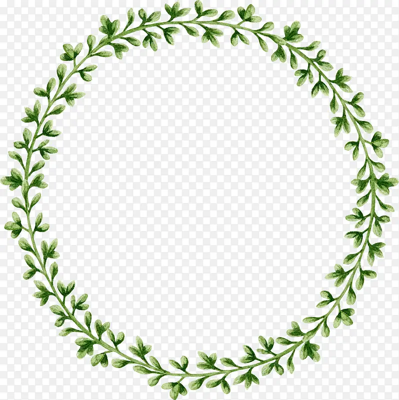 绿色手绘的植物圆环