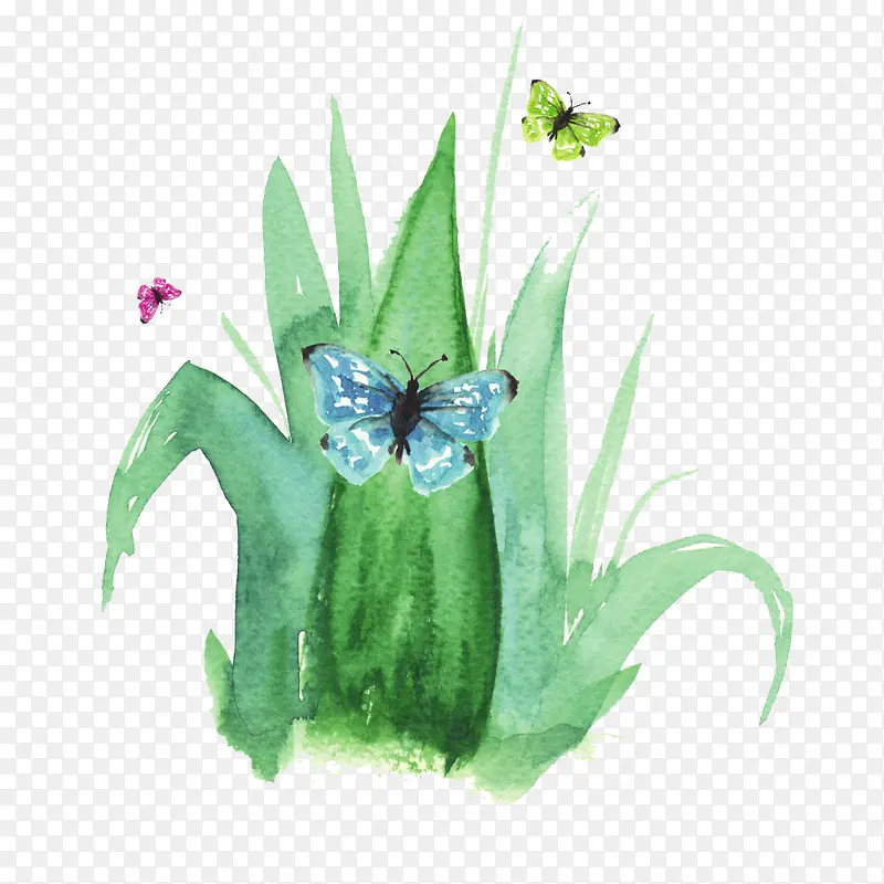 绿色小草