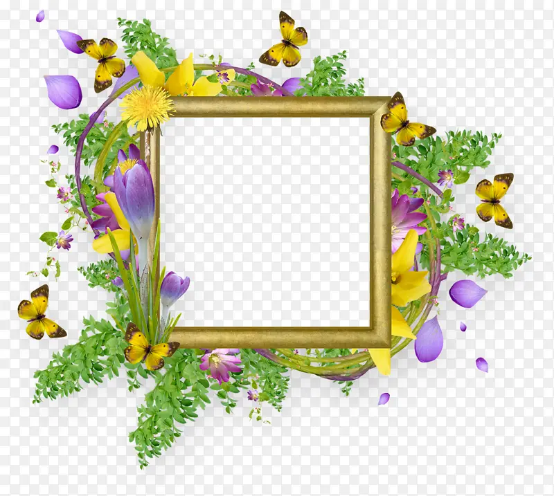 植物花卉蝴蝶边框