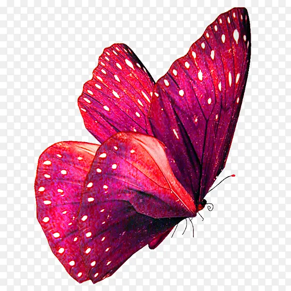红色清新蝴蝶装饰图案