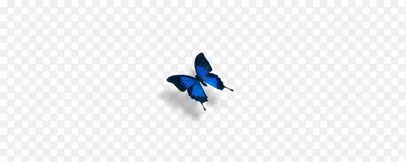 蓝色蝴蝶素材