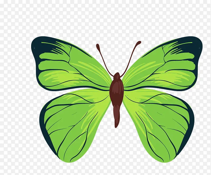 绿色手绘的蝴蝶主题