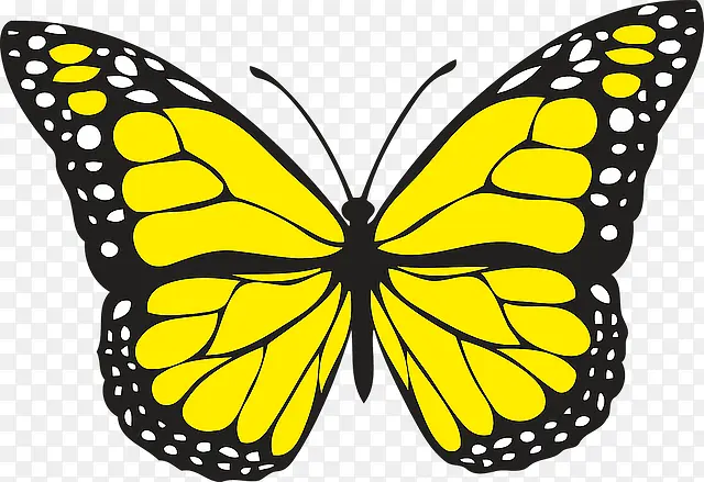 可爱的黄色蝴蝶手绘