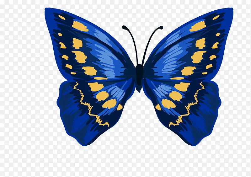 蓝色手绘的小蝴蝶