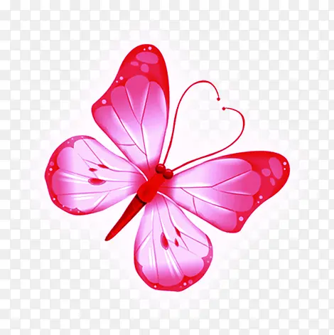 唯美粉红色蝴蝶