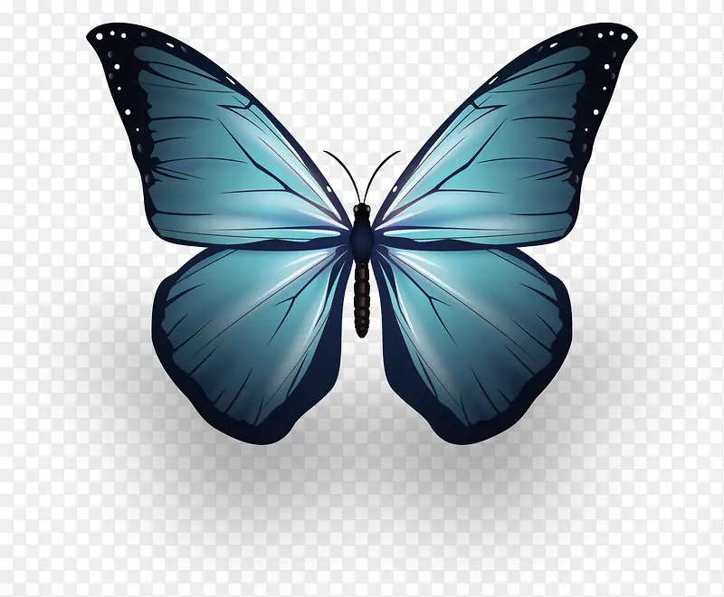 蓝色的蝴蝶