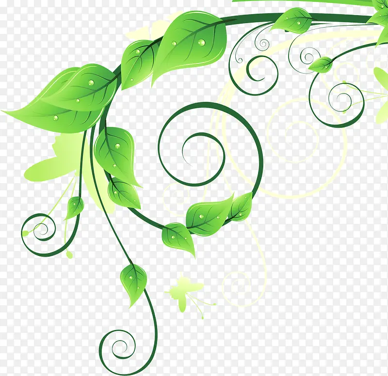 绿色装饰树叶