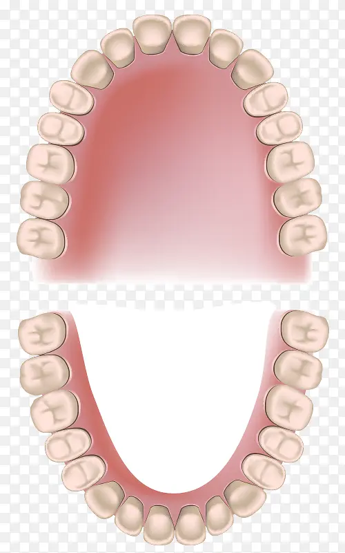牙齿健康分析图